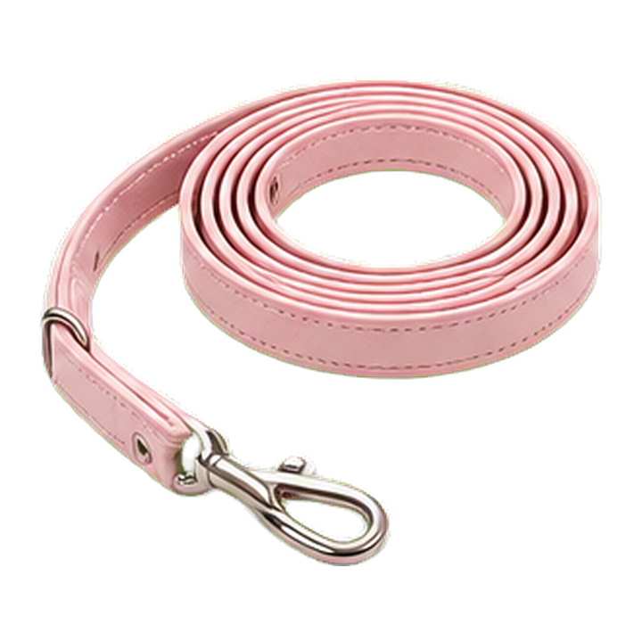 Leash