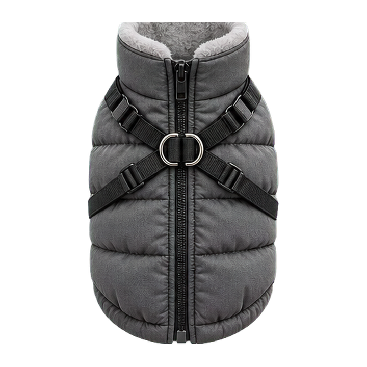 Winter Apparel